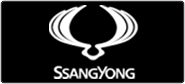  Ssangyong